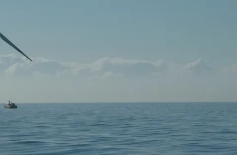 Type and Project Certification workshop