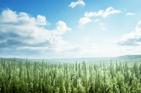 Environmental audit findings snapshot